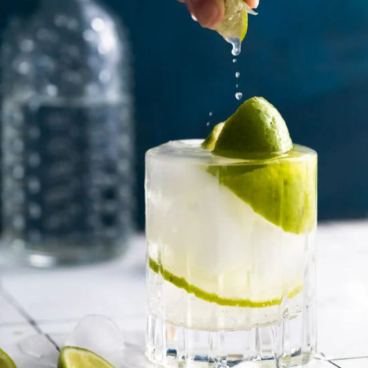 gin and tonic recipe